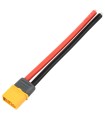 AMASS XT60-AWG 12-Connettore maschio-cavo in silicone AWG 12-10cm