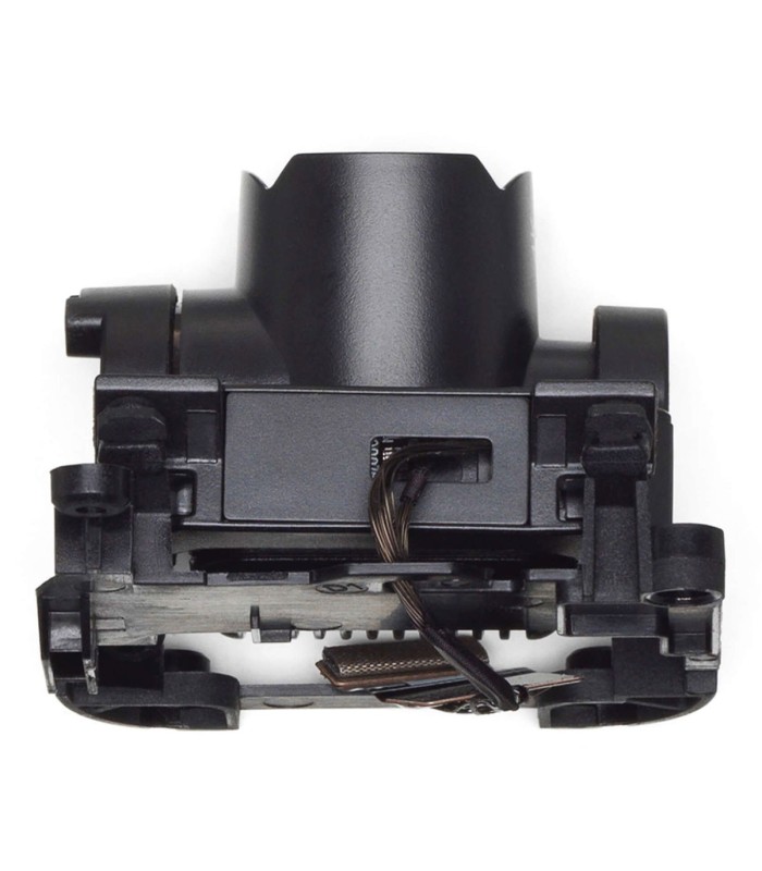 Stabilizzatore videocamera DJI FPV