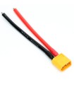 XT60-AWG 14-Connettore maschio-cavo in silicone AWG 14-10cm